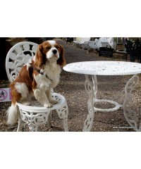 Garden Furniture N Ireland