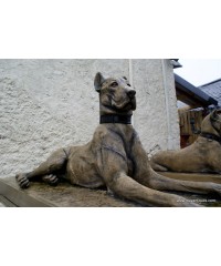 Kinsale Hounds