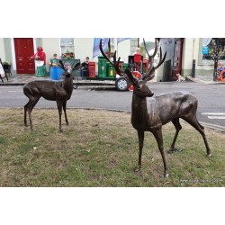 Bronzed Stag