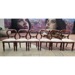 Dining Chairs x 6