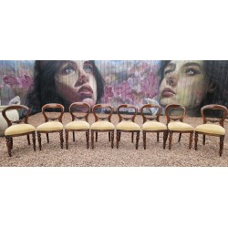 Dining Chairs x 8