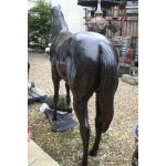 Lifesize Bronzed Horse