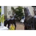 Lifesize Bronzed Horse