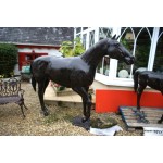 Lifesize Bronzed Horse