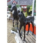 Lifesize Bronzed Horse