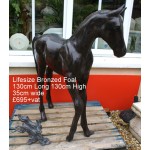 Lifesize Bronzed Foal 1