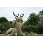 Reposing Stags On Plinth SOLD