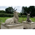 Reposing Stags On Plinth SOLD