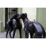 Bronze Greyhounds Pair SOLD