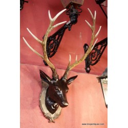 Stag Head