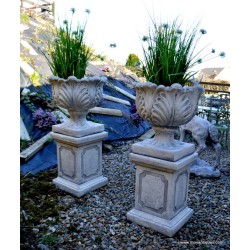 Tulip Urn on Classic Plinth