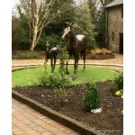 Customer Photos Horse and Foal