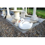 Swan Planter