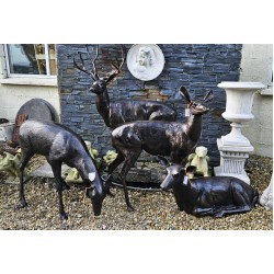 Bronzed Stag Family