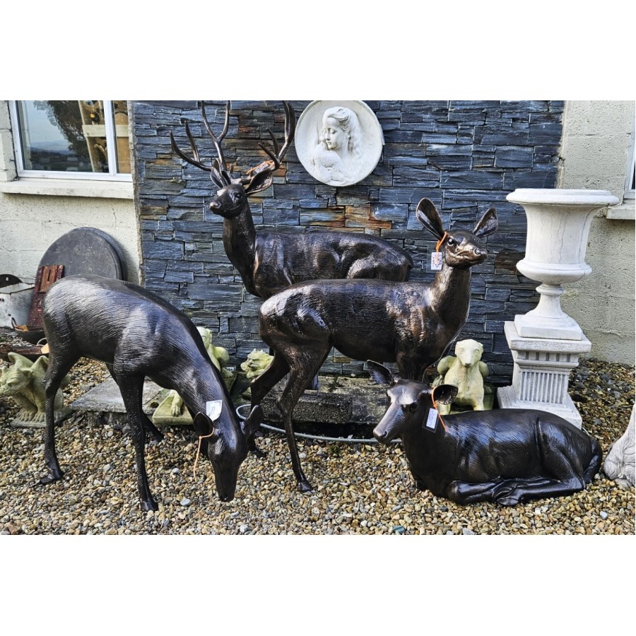 Bronzed Stag Family