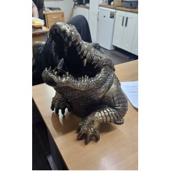 Alligator Head