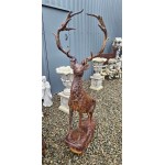 Rusty Stag Cast Iron