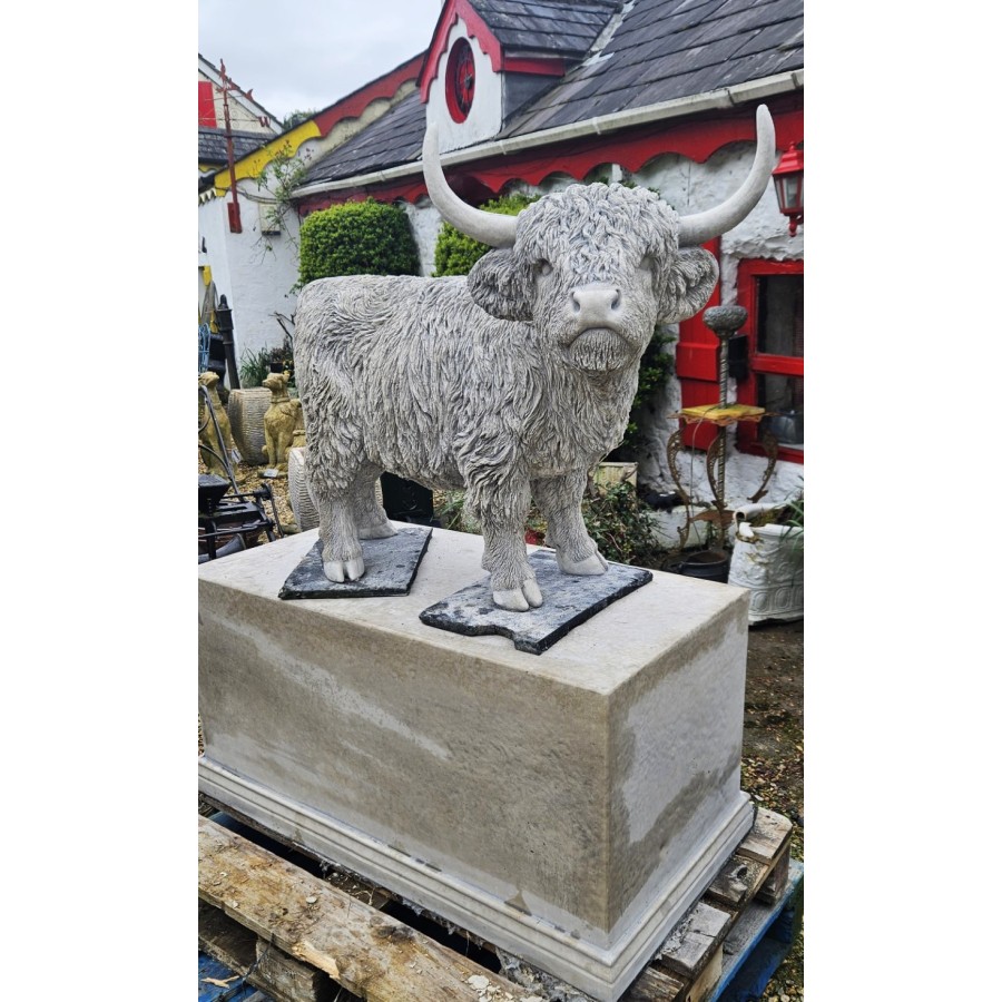 Highland Cow on Plinth