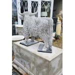 Highland Cow on Plinth