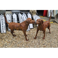 Cast Iron Dog