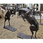 Ruting Stags Bronzed