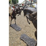 Ruting Stags Bronzed